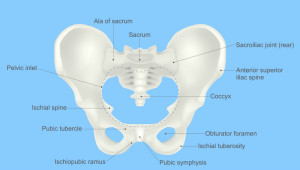 SI joint pain