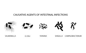 Causative agents of intestinal infections