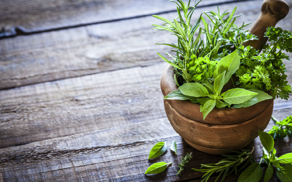 Herbs and healing go together.